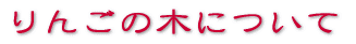 りんごの木について 